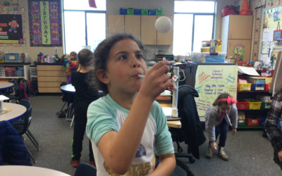 ​Integrated Project Based Learning Units Created for the “Taking Flight” Project